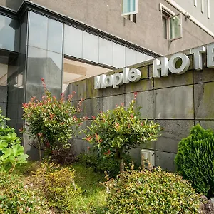 Maple 2* Jeju