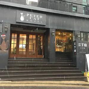 Petercat Shinchon 3* Seoul